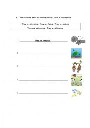 English Worksheet: Animals sentences