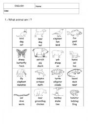 English Worksheet: We love animals!