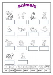 The animals worksheets