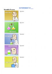 scientfic process