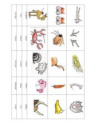 English Worksheet: ANIMAL BODY PARTS CUT AND STICK