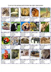 English Worksheet: ANIMAL DESCRIPTION BODY PARTS MULTIPLE CHOICE