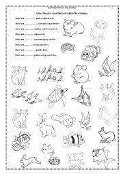 English Worksheet: how many pets are there?