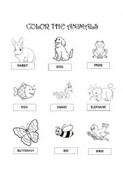 English Worksheet: animals