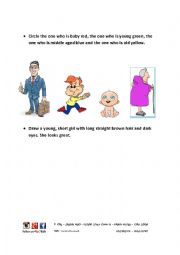 English Worksheet: age groups and appearance