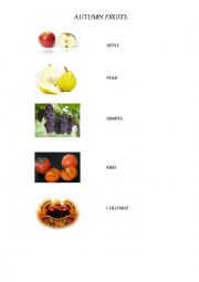 English Worksheet: Autumn Fruits