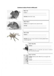 English Worksheet: Common Indoor Pests Problem Solution