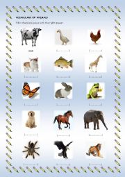 English Worksheet: animals voabulary