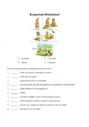 English Worksheet: Levels of Orginization