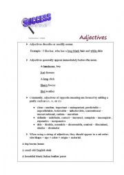 English Worksheet:  adjective