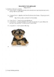 English Worksheet: Animals