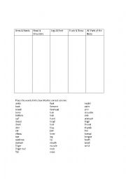 English Worksheet: Body Parts Word Sort