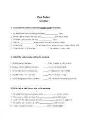 English Worksheet: Past Perfect exercises