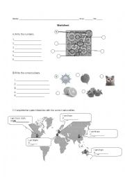 English Worksheet: Personal identification, numbers, colours