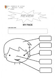 English Worksheet: face