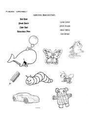 English Worksheet: Adjectives