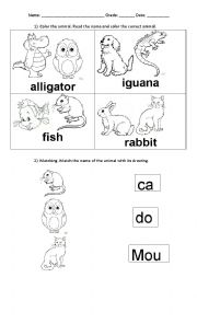 English Worksheet: Color the animal