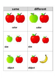 English Worksheet: Same and Different Anchor Chart