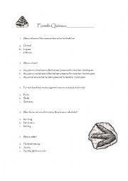 English Worksheet: Fossils Quiz