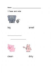 English Worksheet: Adjectives