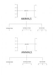 English Worksheet: Animals scheme