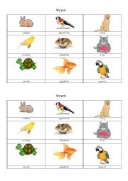 English Worksheet: my pets 
