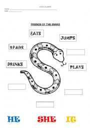 English Worksheet: friends of the snake