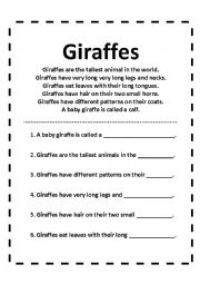 English Worksheet: Giraffes - Worksheet