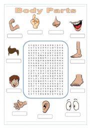Parts of Body Wordsearch