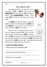 A reading comprehension passage about the digestive system