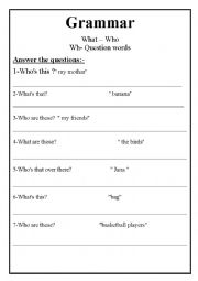 English Worksheet: wh question words 