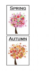 English Worksheet: seasons