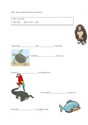 Amazon animals verbs