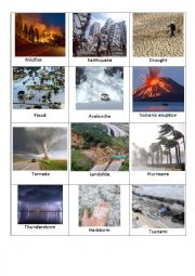 Disasters flashcards