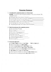 English Worksheet: Possesive Pronoun