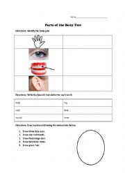 English Worksheet: Body Parts Quiz for beginners