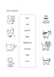 English Worksheet: Animals