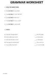 English Worksheet: simple present with five senses