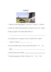 English Worksheet: movie Oddball