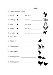 English Worksheet: Animal