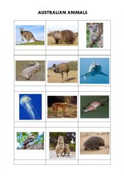 Australian animals + solution