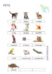 English Worksheet: Pets Pictionary