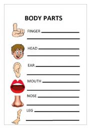 BODY PARTS