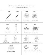 English Worksheet: Basic adjectives