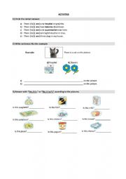 English Worksheet: Activities