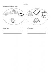 English Worksheet: His or Her