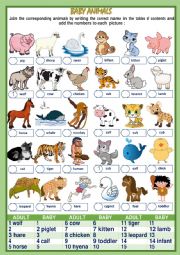 BABY ANIMALS NAMES (1of 2)
