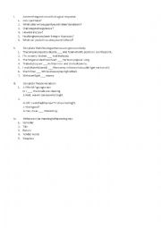 English Worksheet: Diagnostic Test C. Leon