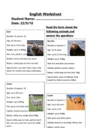 English Worksheet: Animal Comparatives and Superlatives