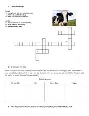 English Worksheet: Cattle Rising